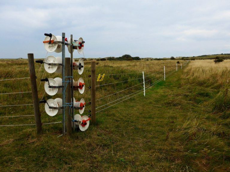 Carretes de cinta para pastor eléctrico instalados en un vallado